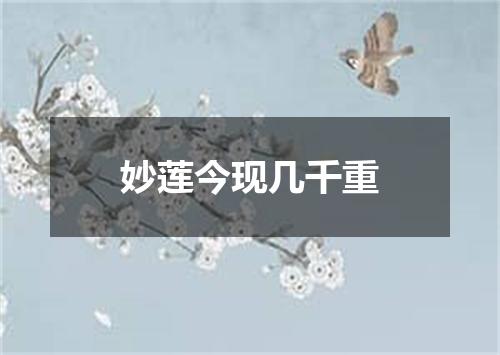 妙莲今现几千重