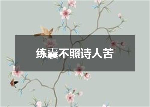 练囊不照诗人苦