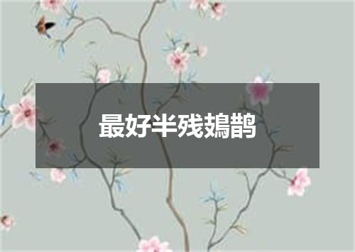 最好半残鳷鹊