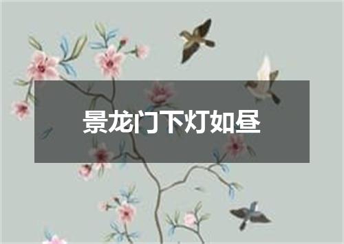 景龙门下灯如昼