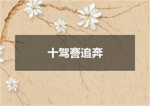 十驾謇追奔