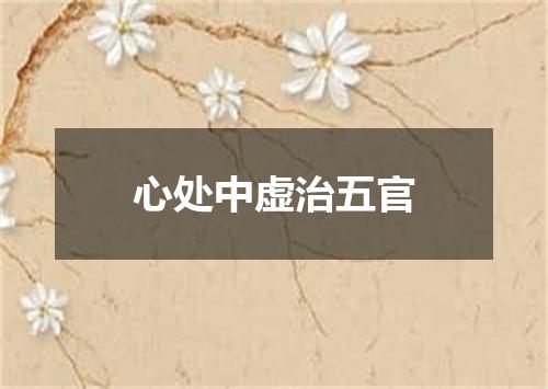 心处中虚治五官