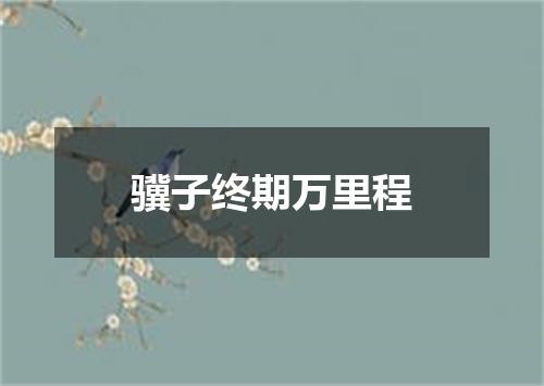 骥子终期万里程
