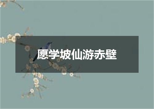 愿学坡仙游赤壁