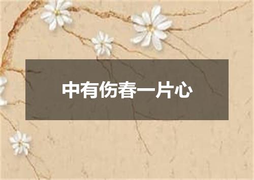 中有伤春一片心