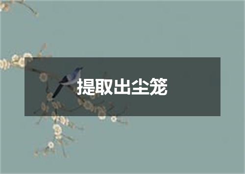 提取出尘笼