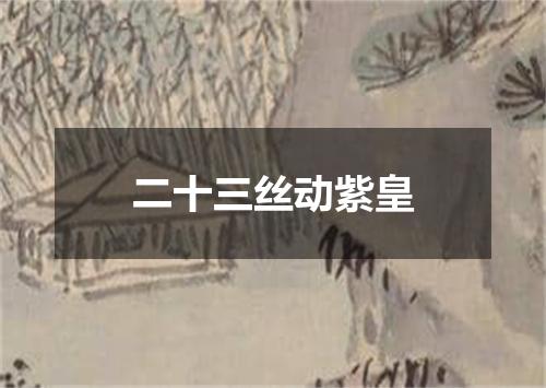 二十三丝动紫皇