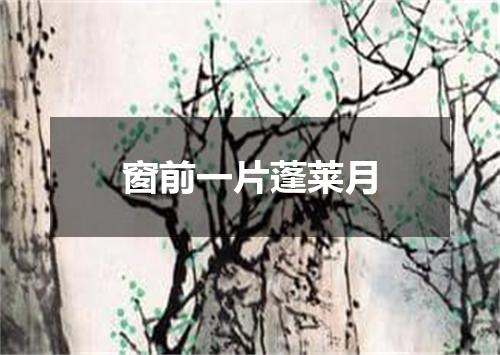 窗前一片蓬莱月