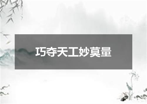 巧夺天工妙莫量