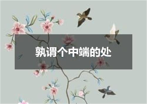 孰谓个中端的处