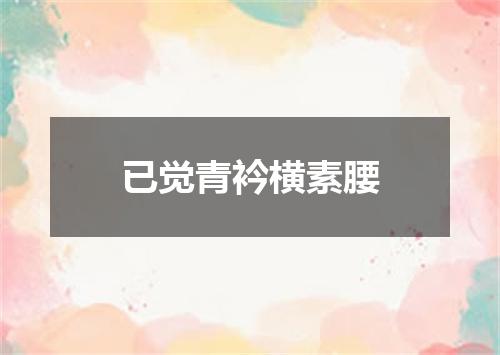 已觉青衿横素腰
