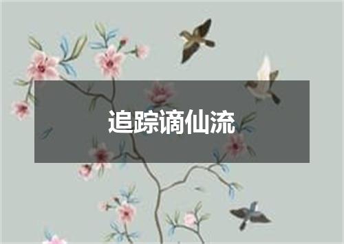 追踪谪仙流