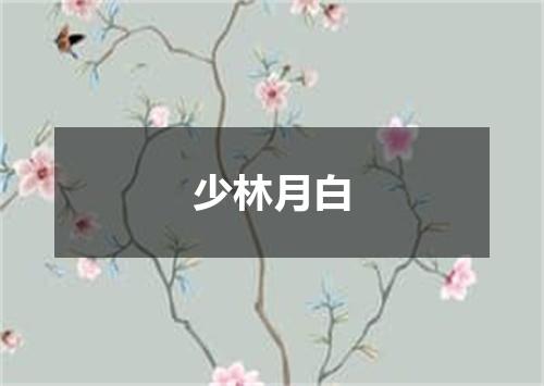 少林月白