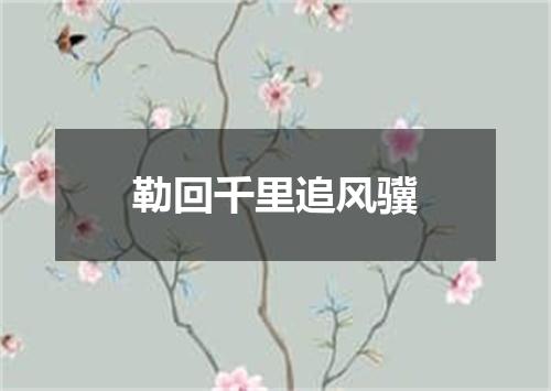 勒回千里追风骥