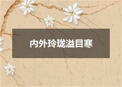 内外玲珑溢目寒