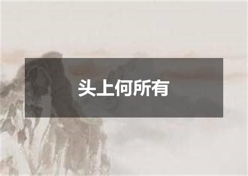 头上何所有