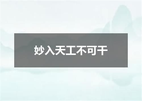 妙入天工不可干