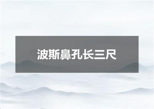 波斯鼻孔长三尺