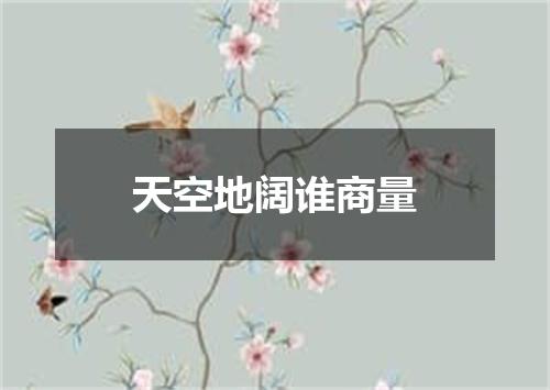 天空地阔谁商量