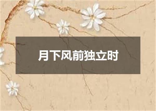 月下风前独立时