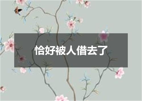 恰好被人借去了