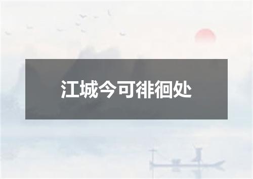 江城今可徘徊处