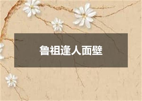 鲁祖逢人面壁