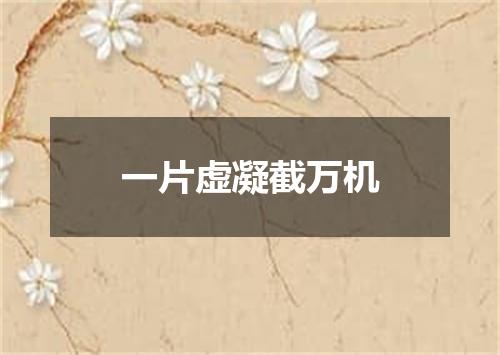 一片虚凝截万机