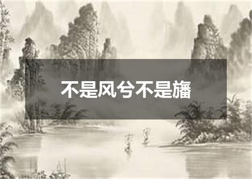不是风兮不是旛