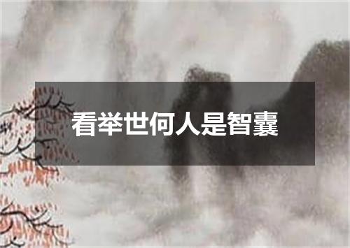 看举世何人是智囊