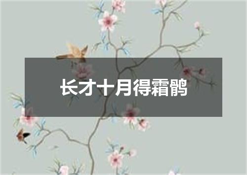 长才十月得霜鹘