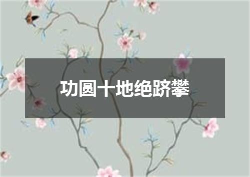功圆十地绝跻攀