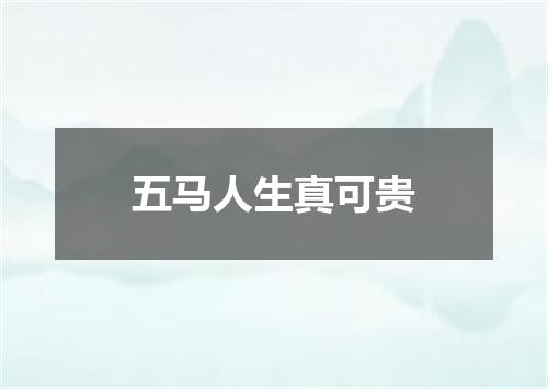 五马人生真可贵