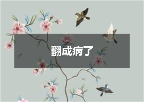 翻成病了