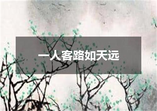 一人客路如天远