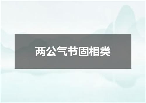 两公气节固相类