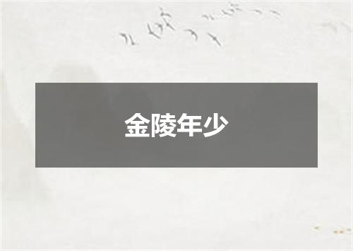 金陵年少