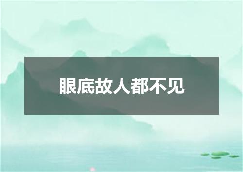 眼底故人都不见