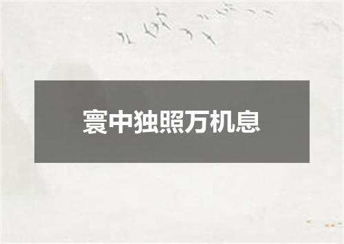 寰中独照万机息