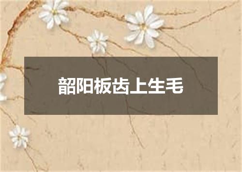 韶阳板齿上生毛