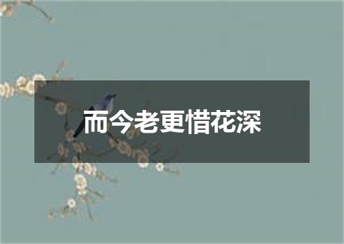 而今老更惜花深