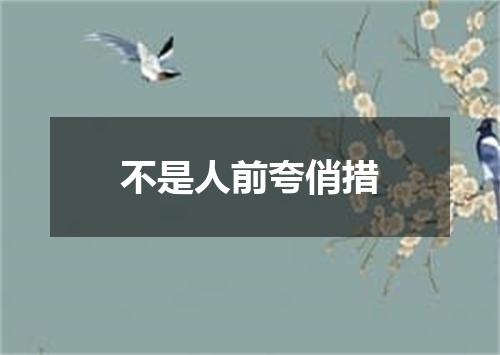 不是人前夸俏措