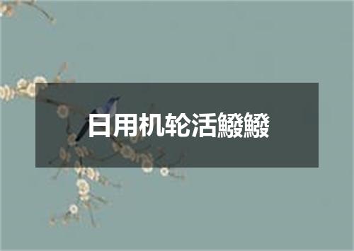 日用机轮活鱍鱍