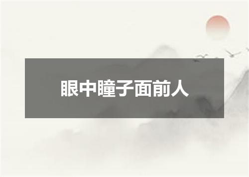 眼中瞳子面前人