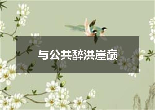 与公共醉洪崖巅