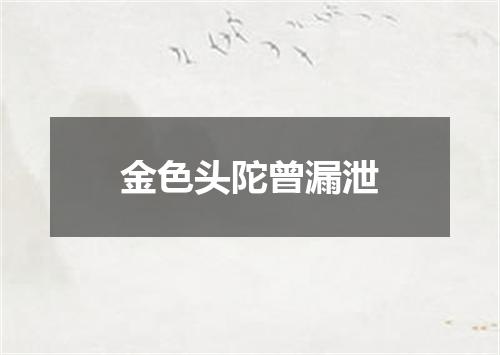金色头陀曾漏泄