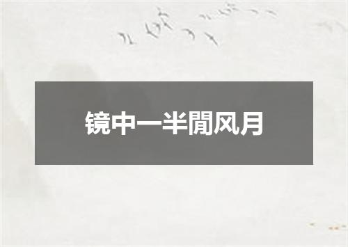 镜中一半閒风月