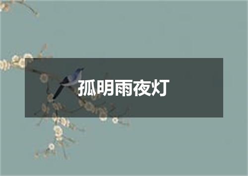 孤明雨夜灯