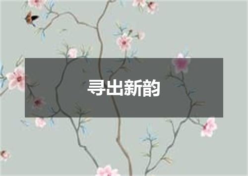 寻出新韵