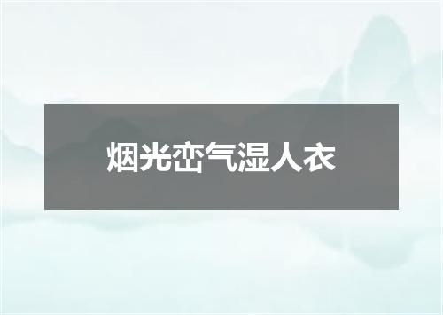 烟光峦气湿人衣